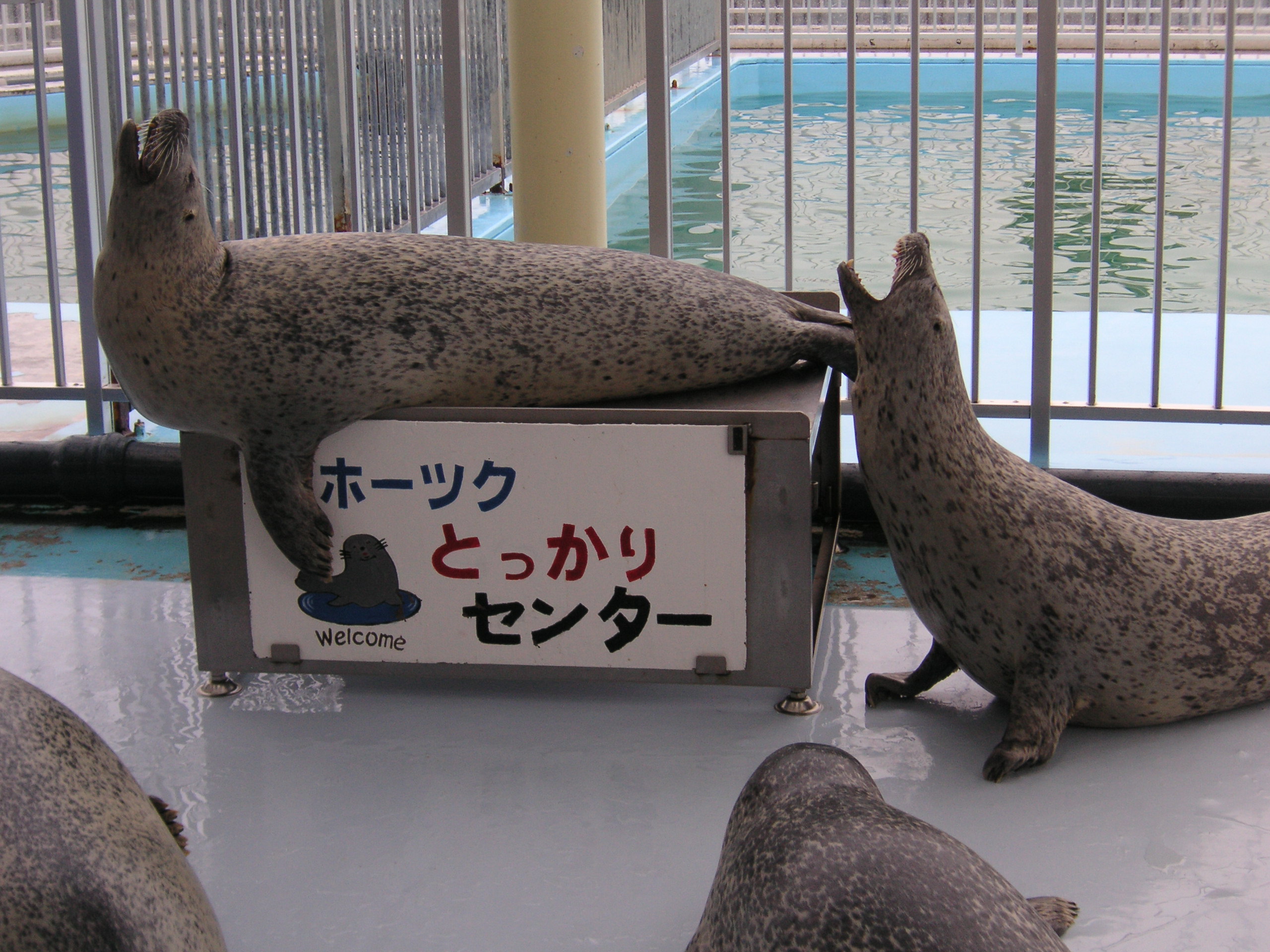 【ＹＳＰ塾　お茶の水】サマースクール　北海道・紋別市「オホーツクとっかりセンター」