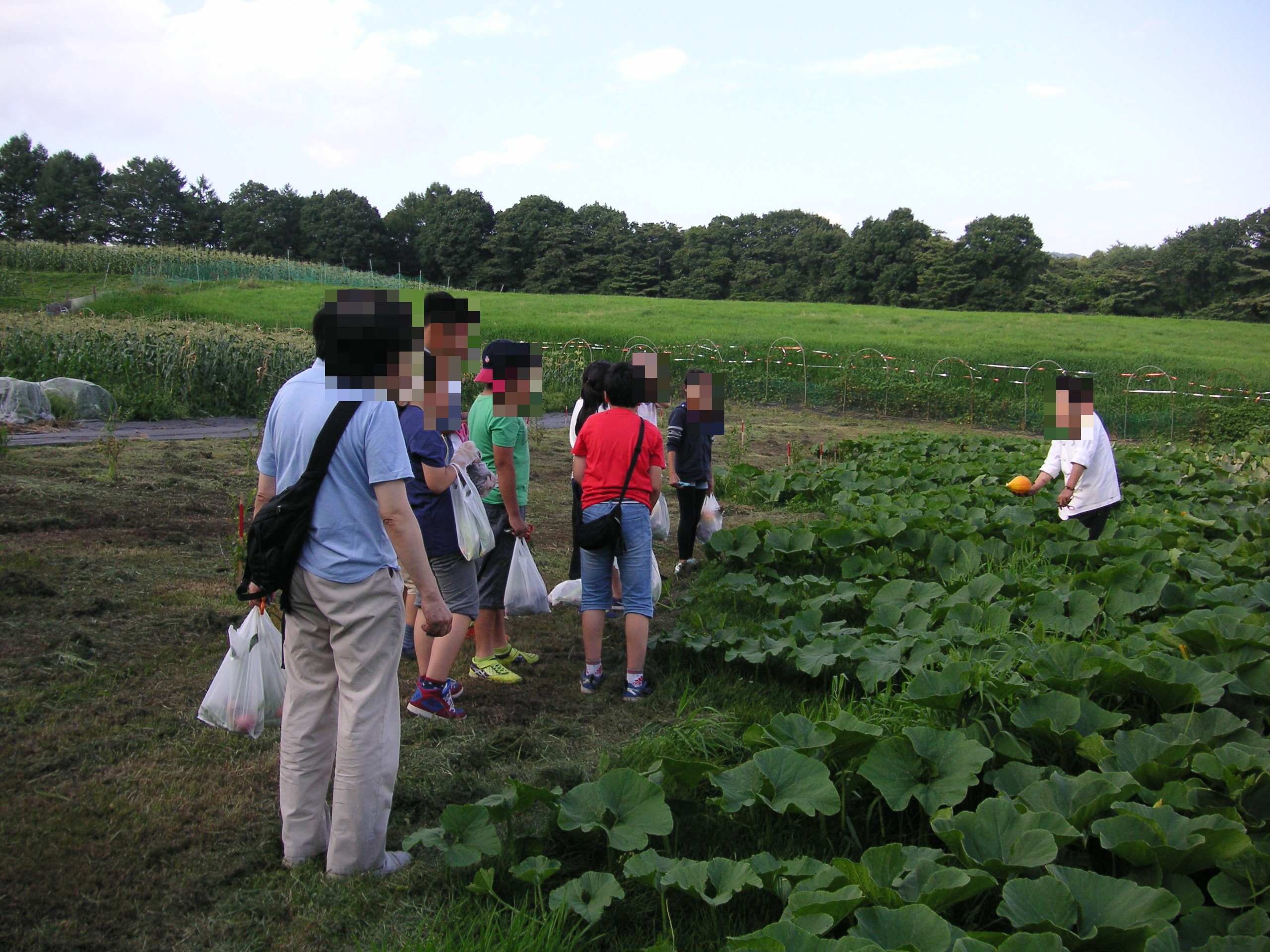 【ＹＳＰ塾　お茶の水】体験学習「収穫体験・大地の力に感動！」